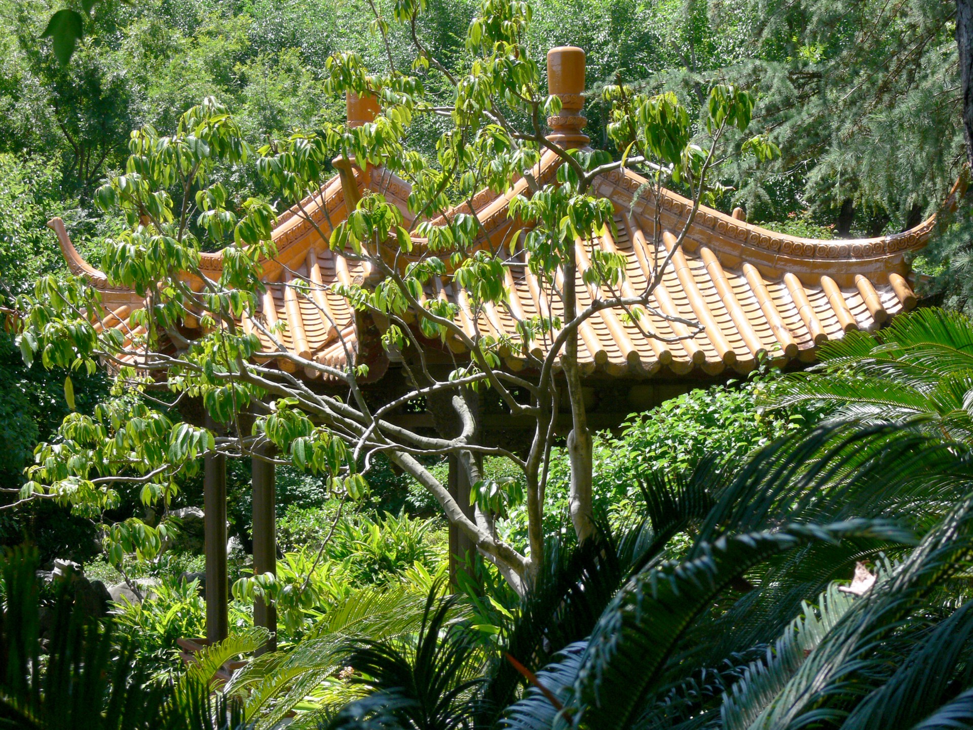 Pagoda,roof,foliage,chinese,scenery - free image from needpix.com