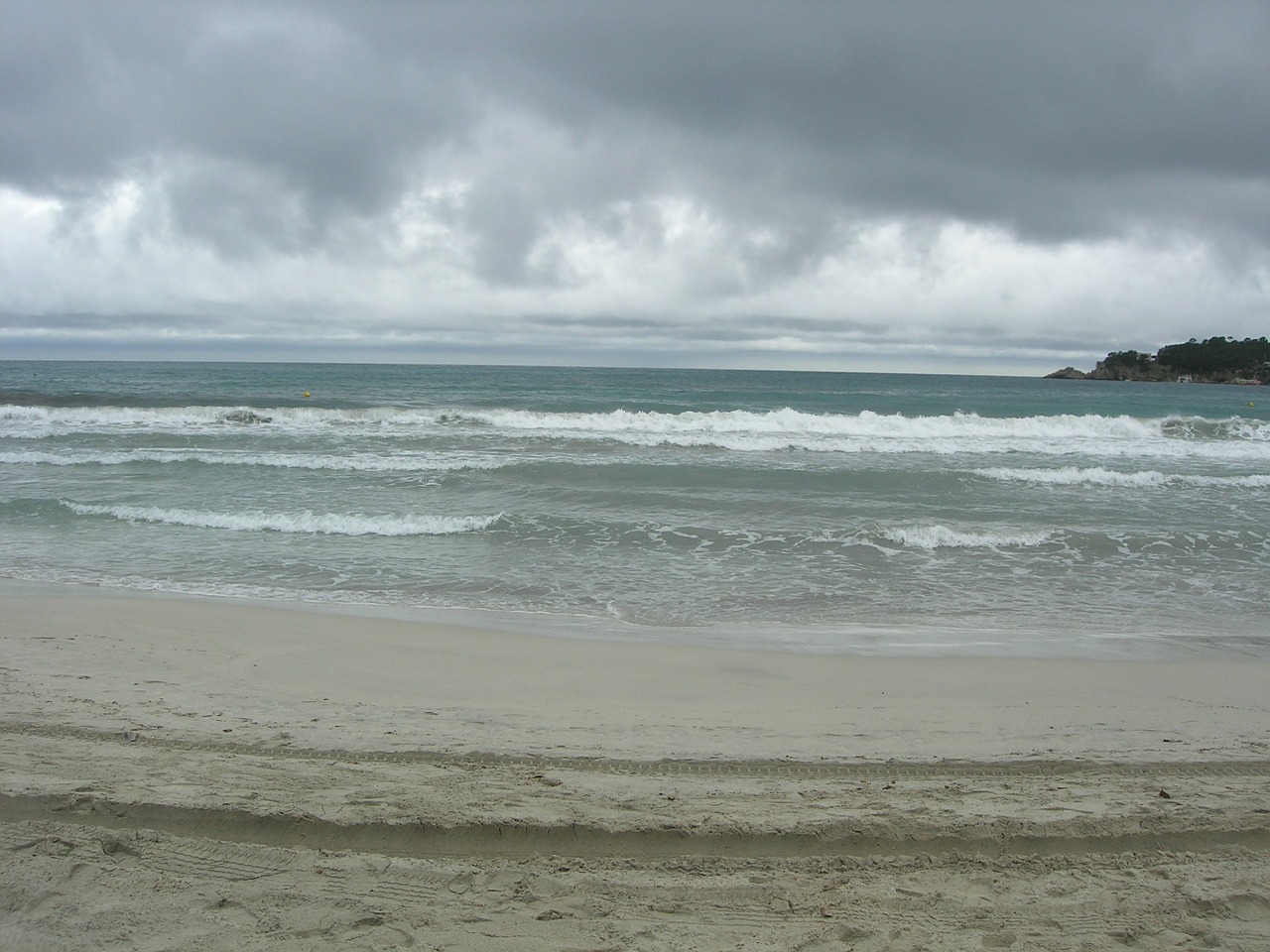 paguera beach mallorca free photo