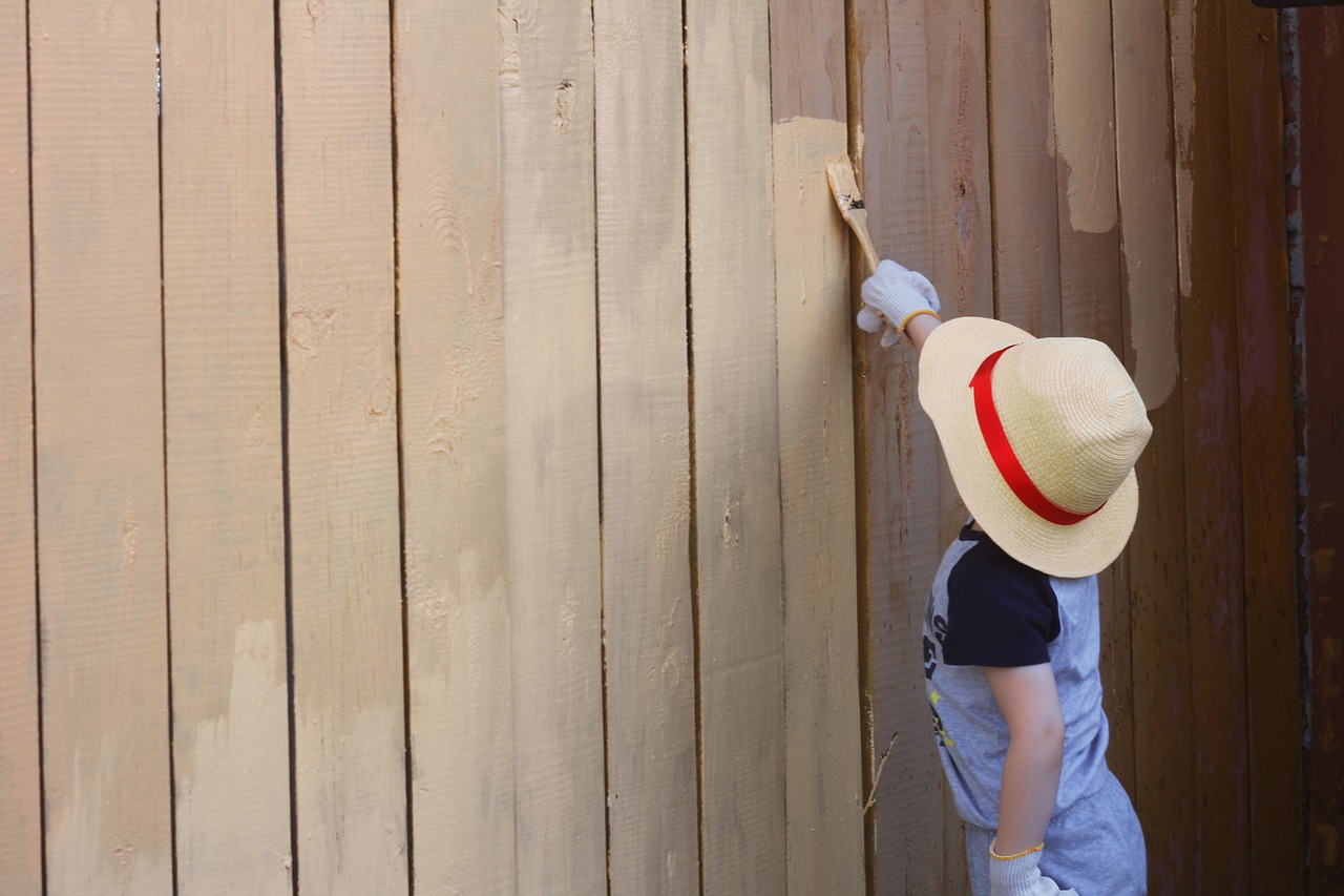 paint boy fence free photo