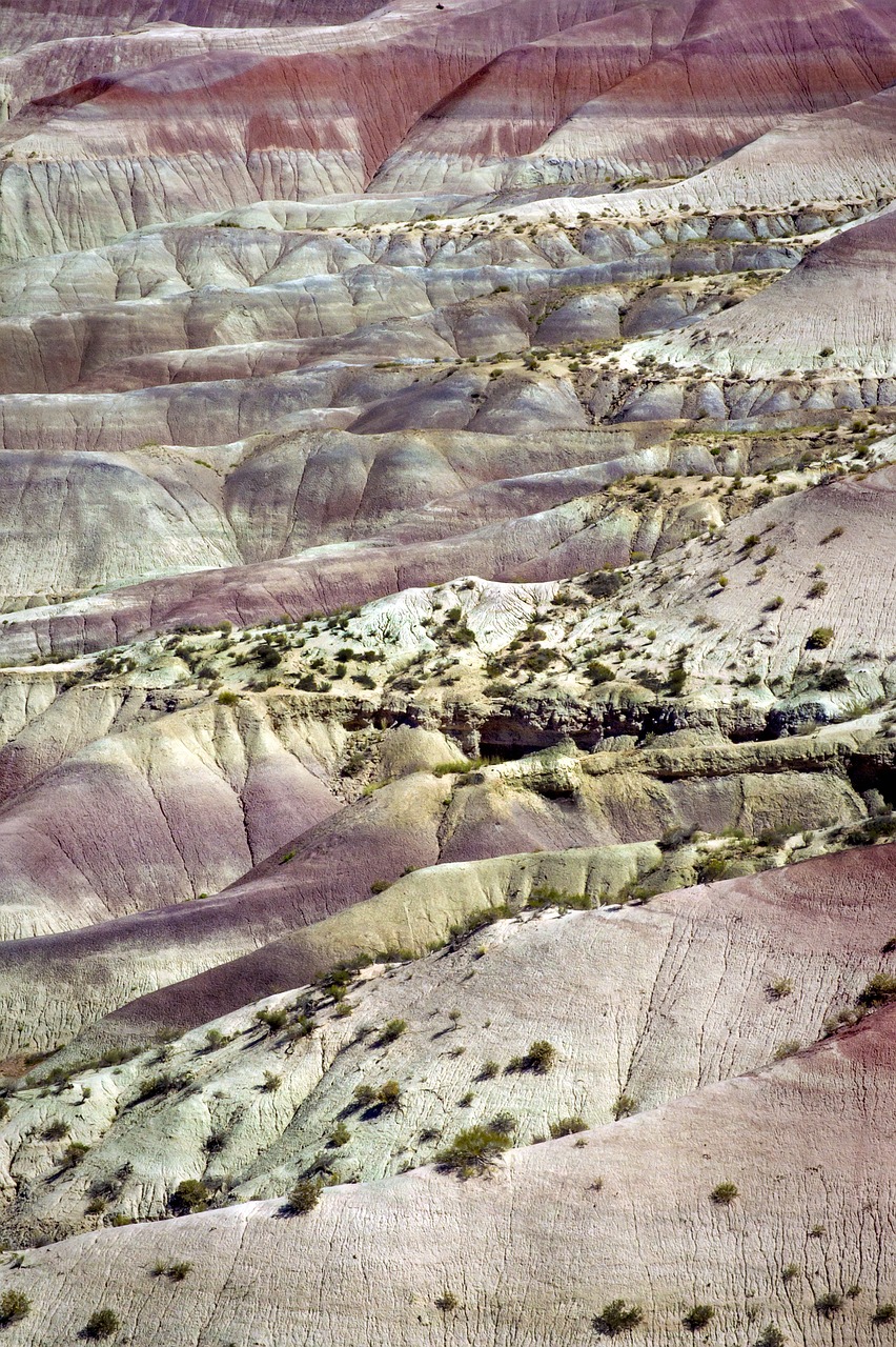 painted desert arizona free photo