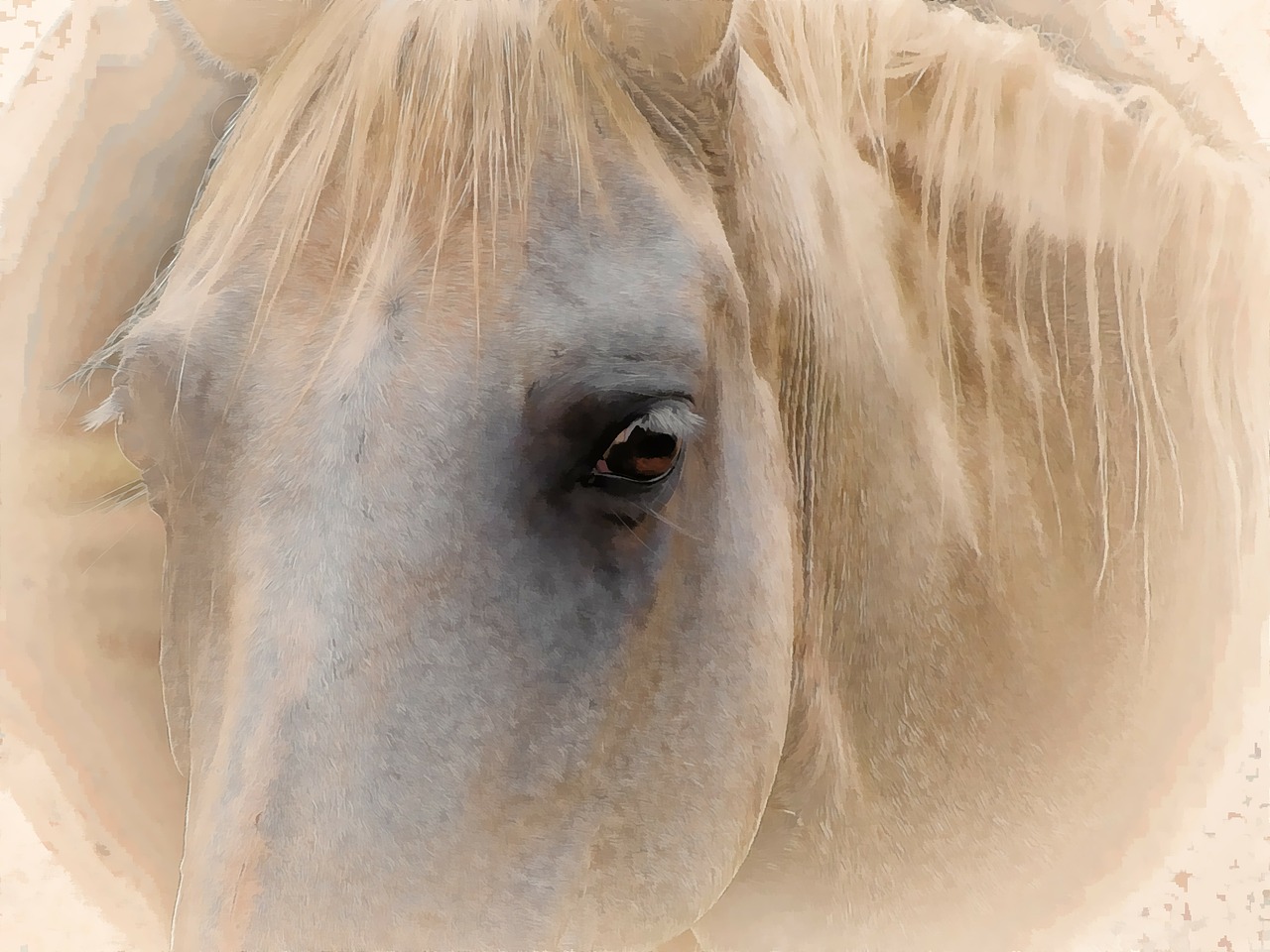 painted horse digital art free photo