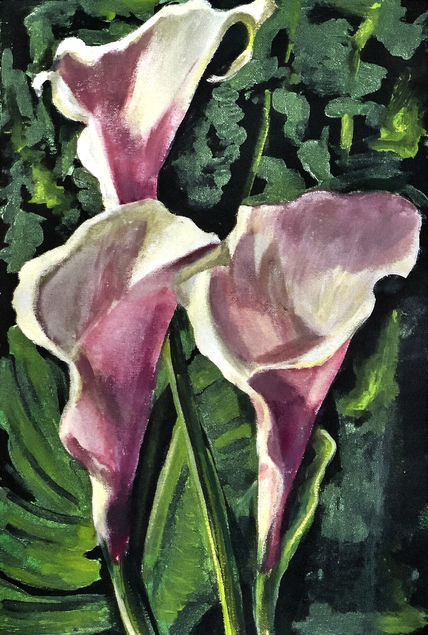painted arum lilies acrylic paint brush strokes free photo