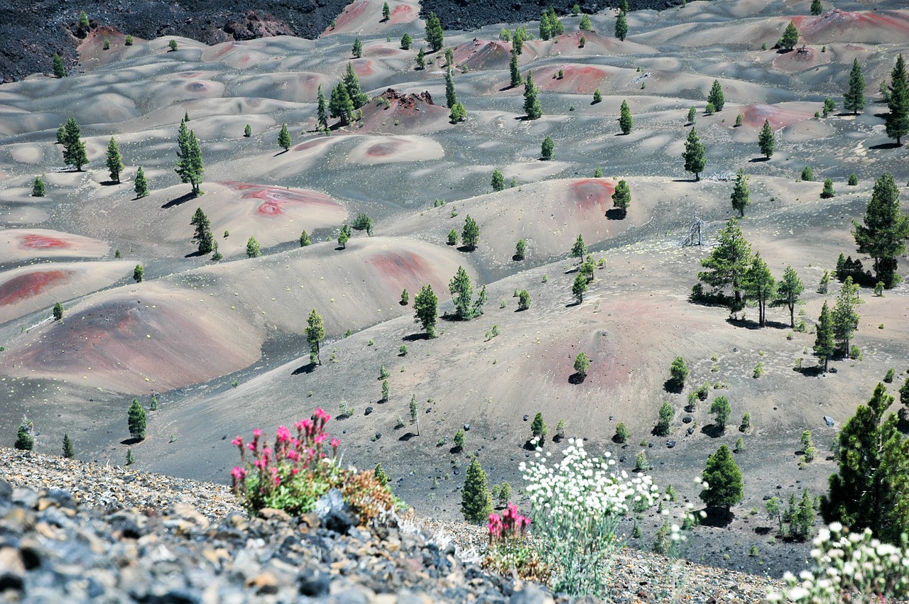painted dunes lassen national park lava rock free photo