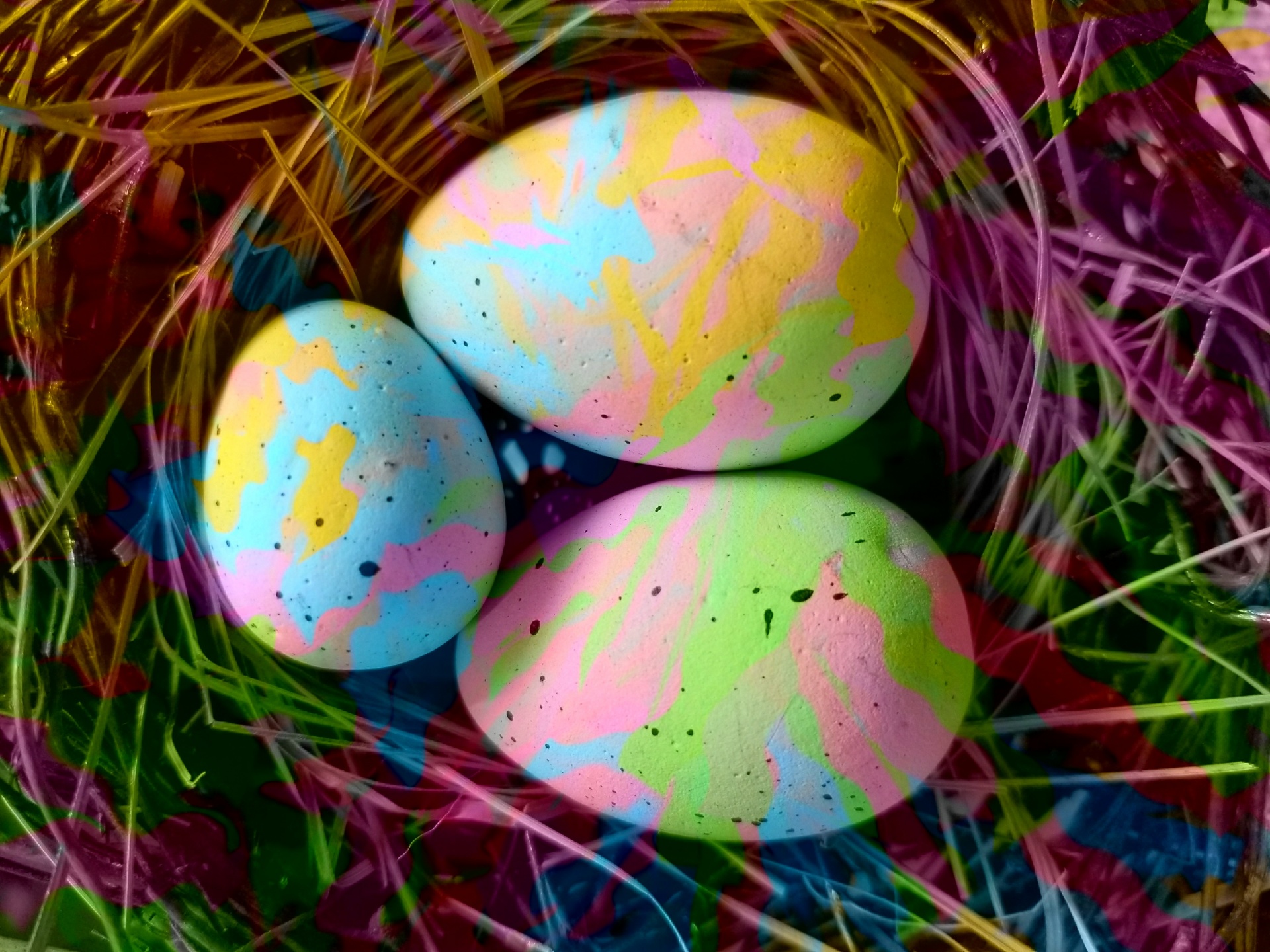 Easter,eggs,color,splashes,nest - free photo from needpix.com AMP.