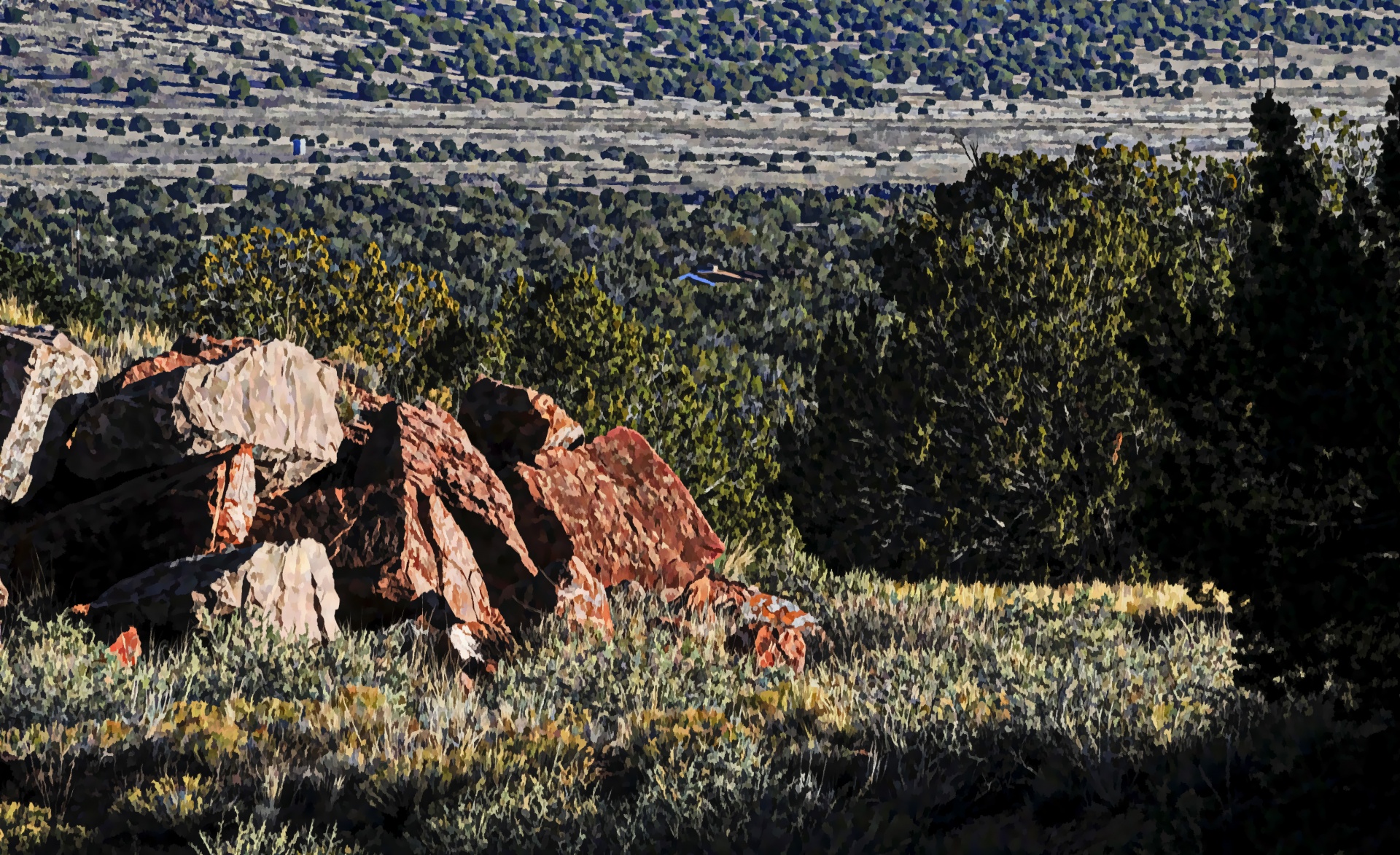 desert landscape plants free photo