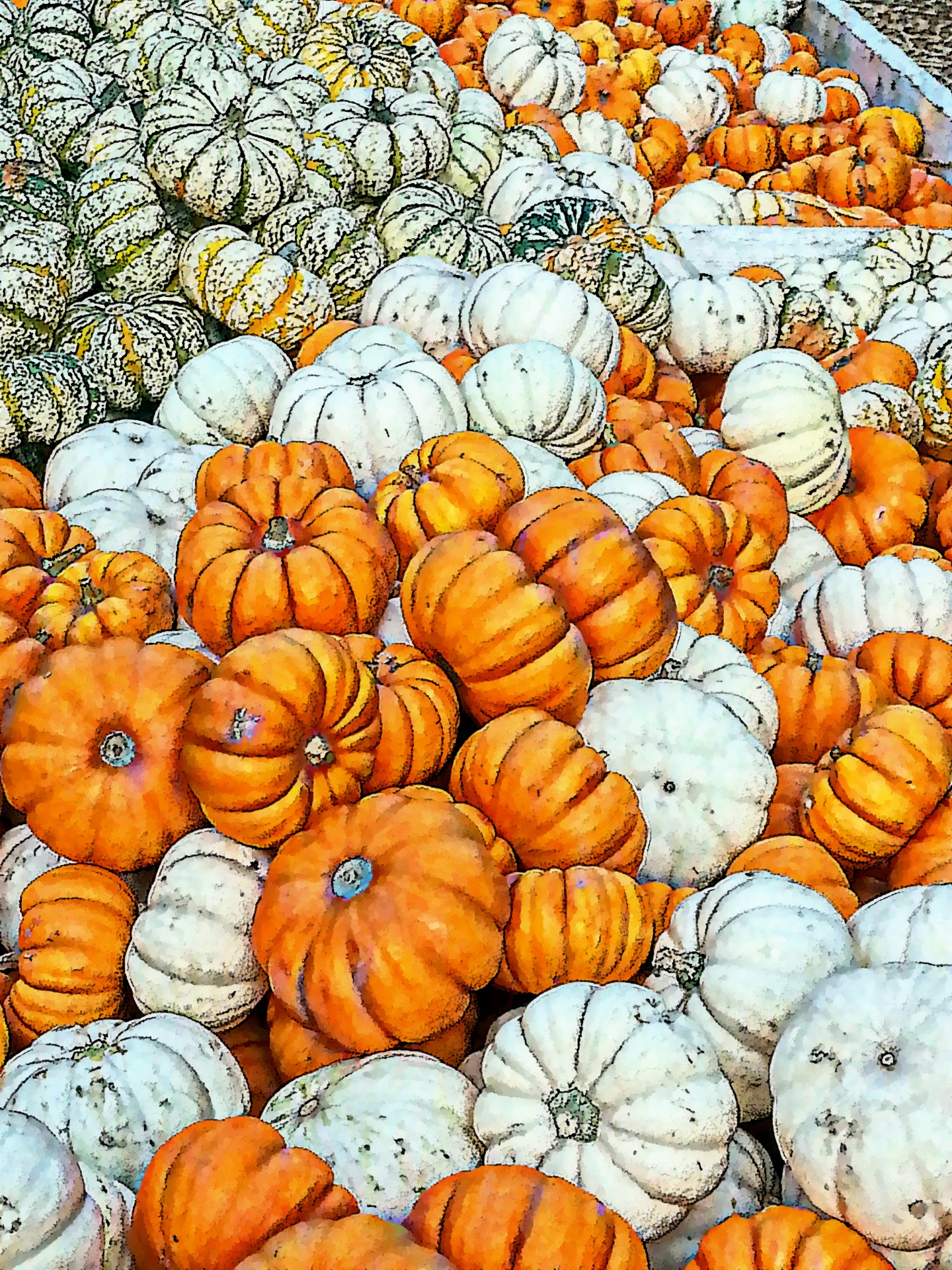 pumpkin pumpkins fall free photo