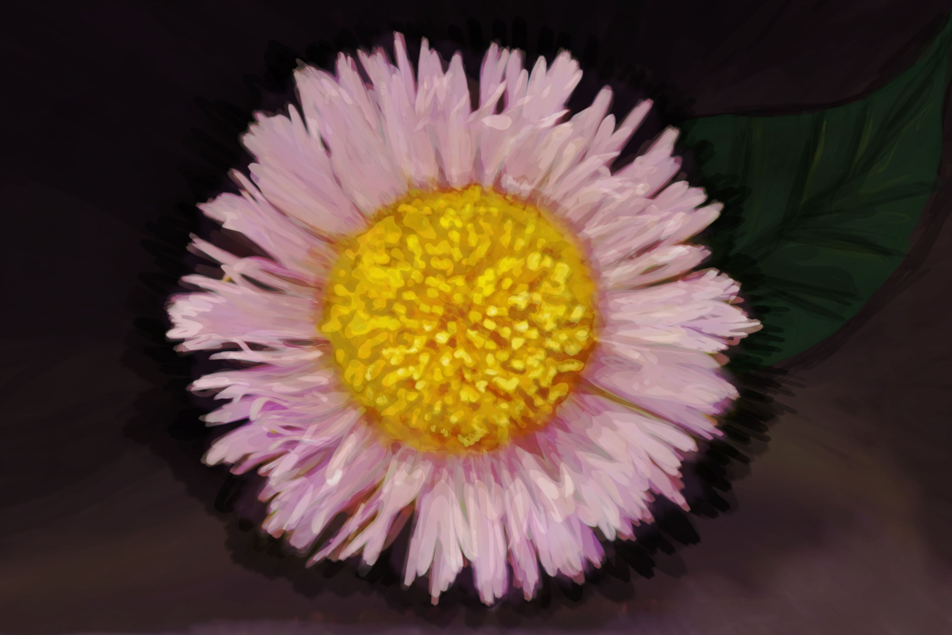 flower painted digital art free photo