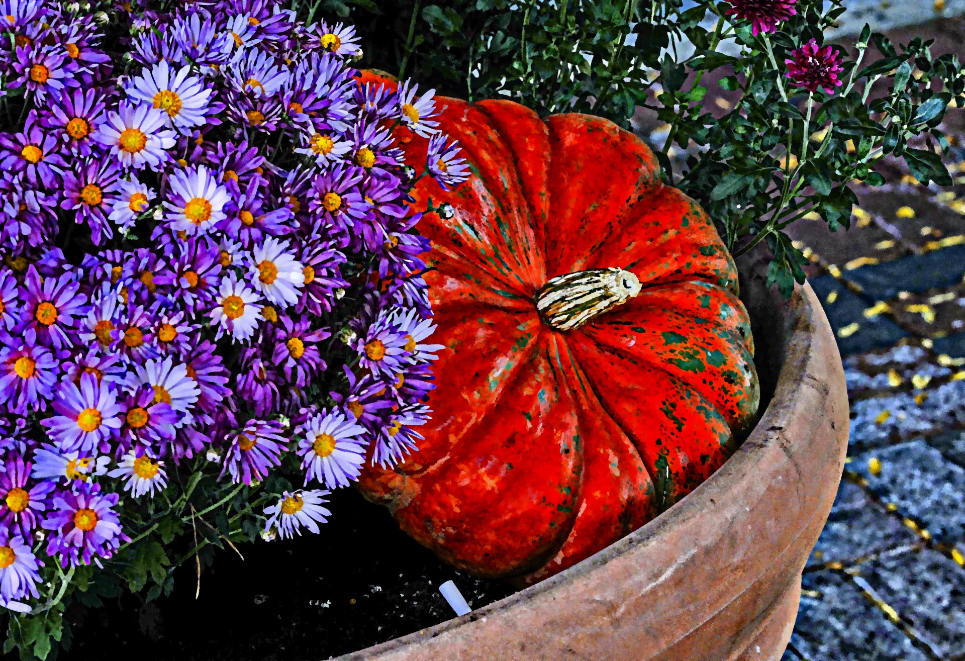 pumpkin pumpkins fall free photo