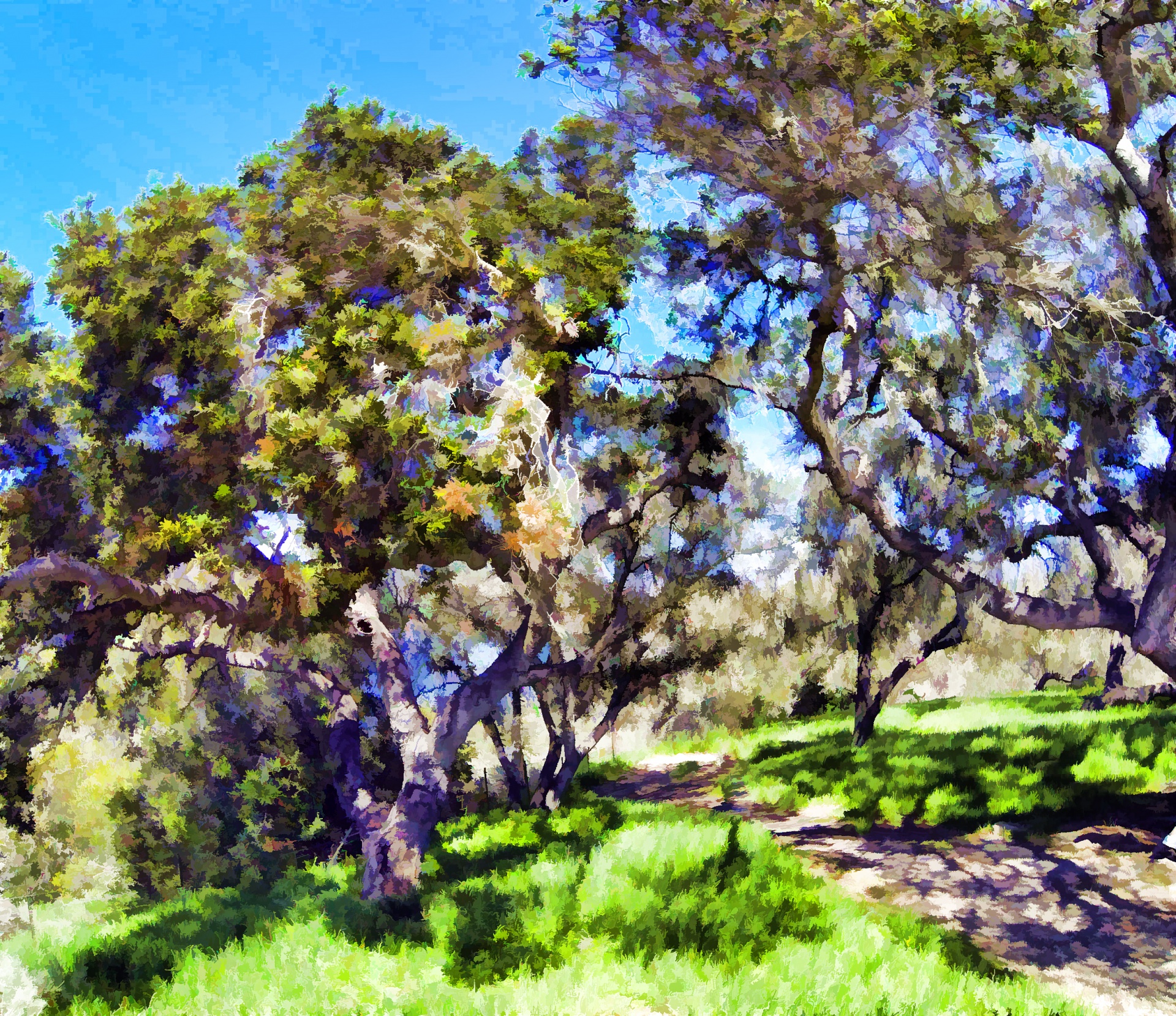 tree trees artistic free photo