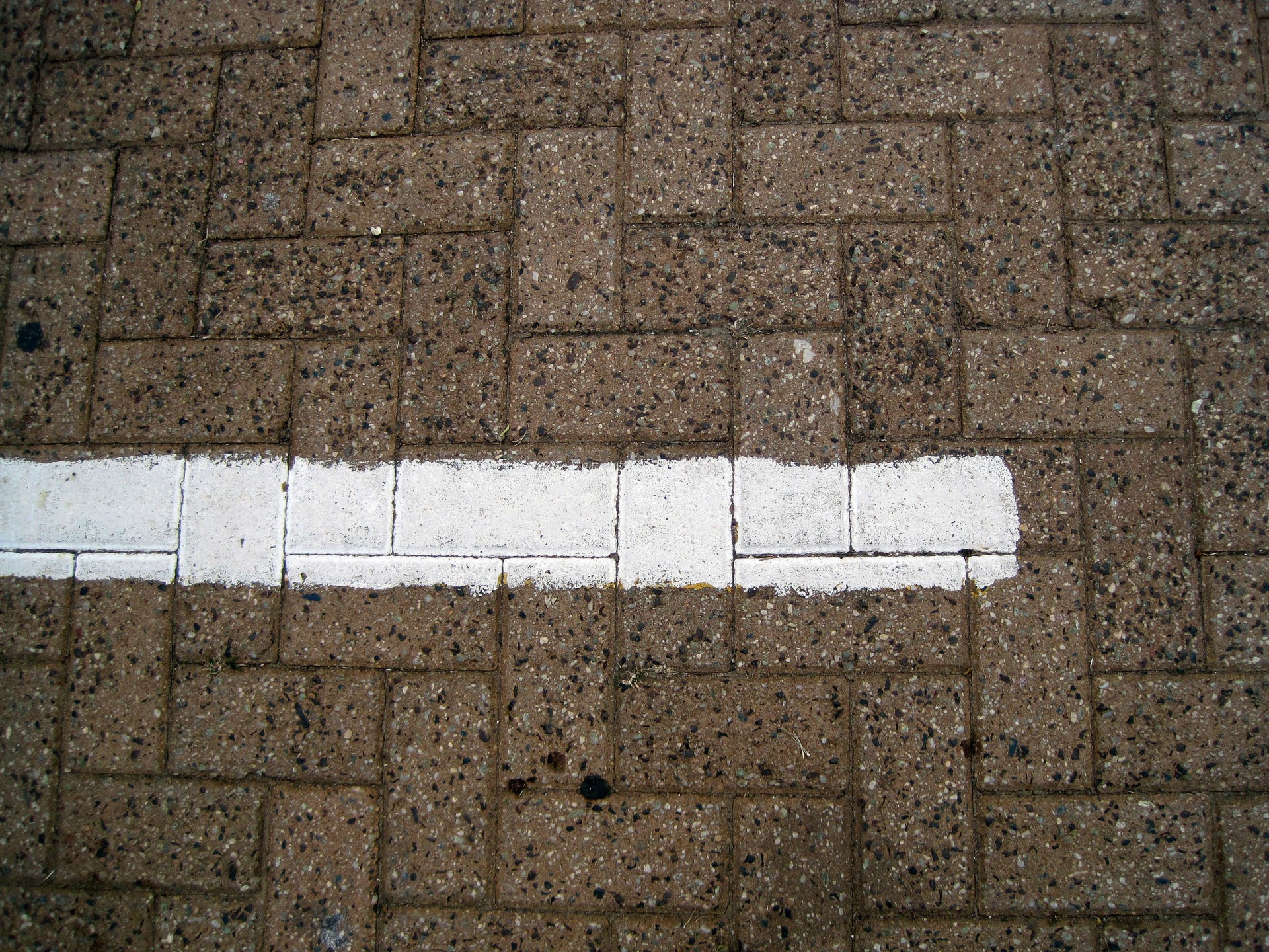 line white paving free photo