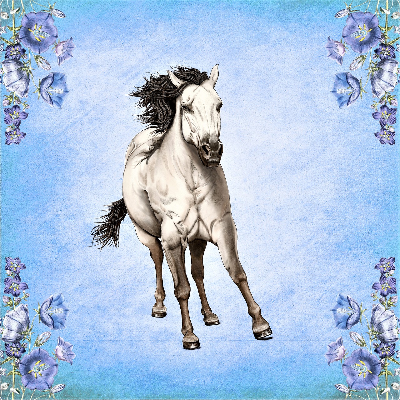 painting digital artwork horse free photo