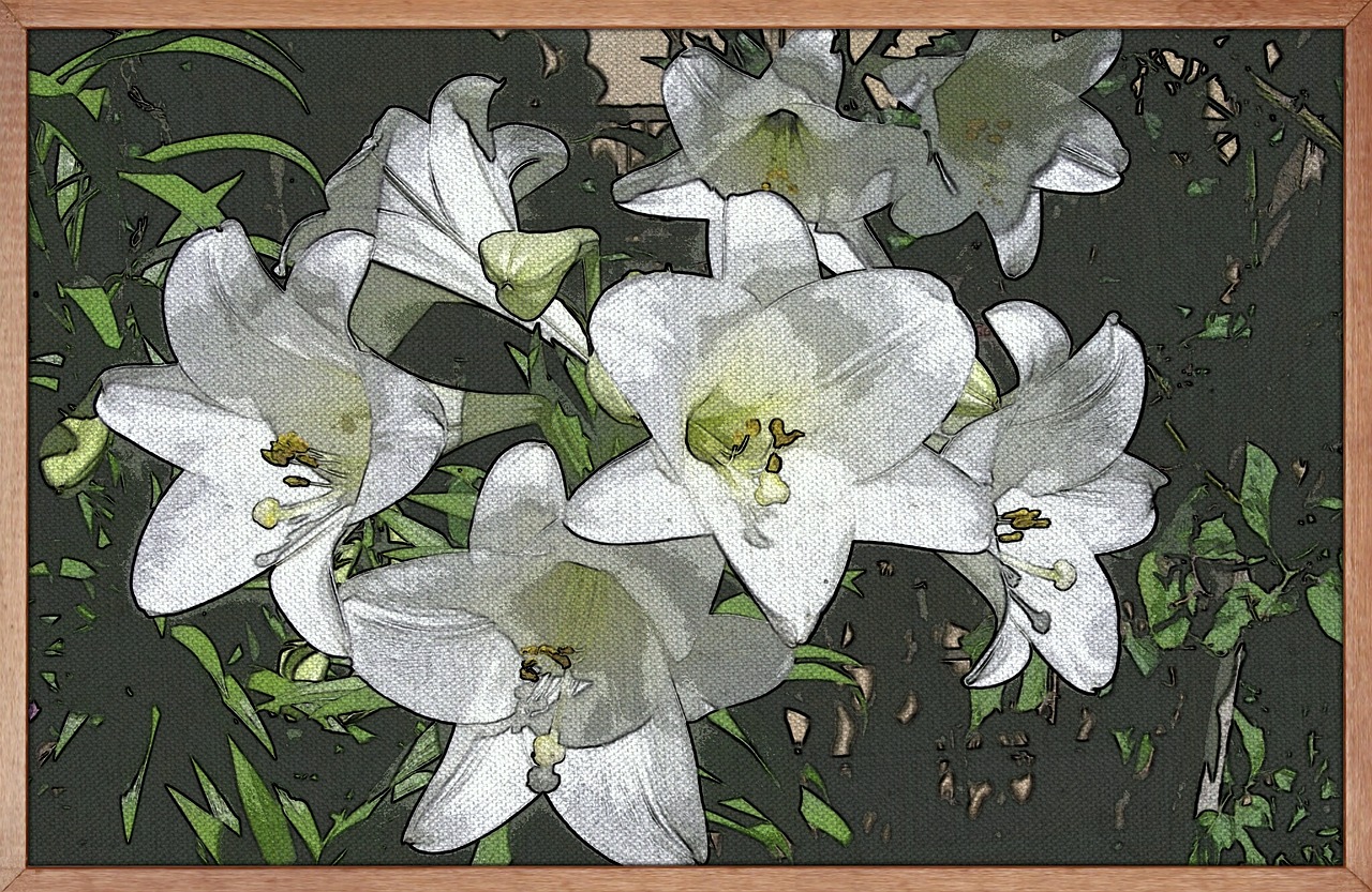 painting art white lily free photo