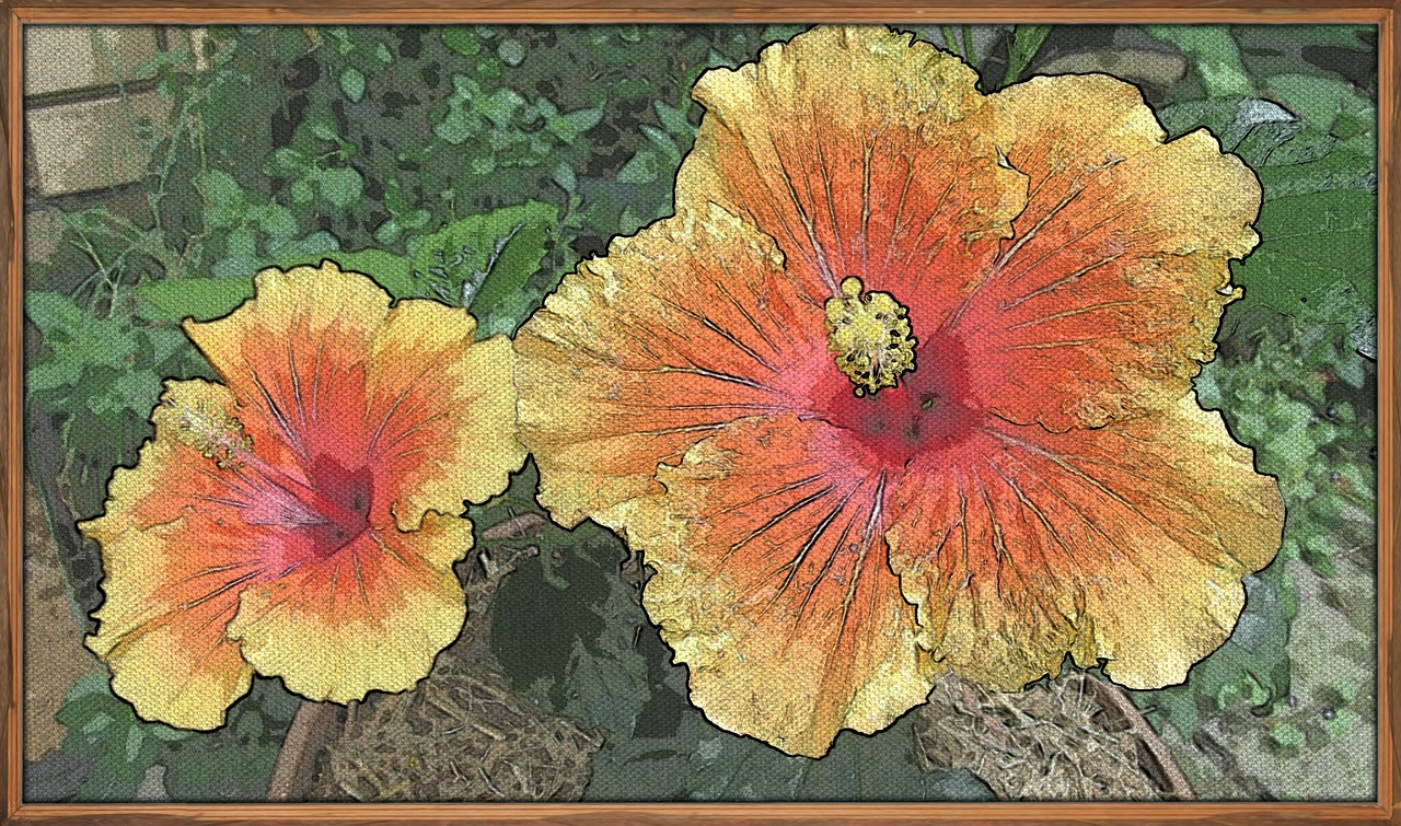 painting art hibiscus free photo