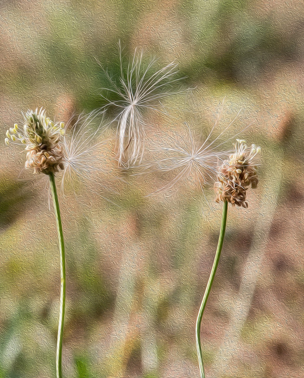 painting  grasses  flowers free photo