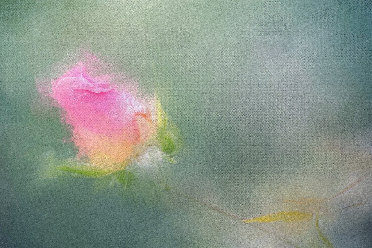 painting rose floral free photo