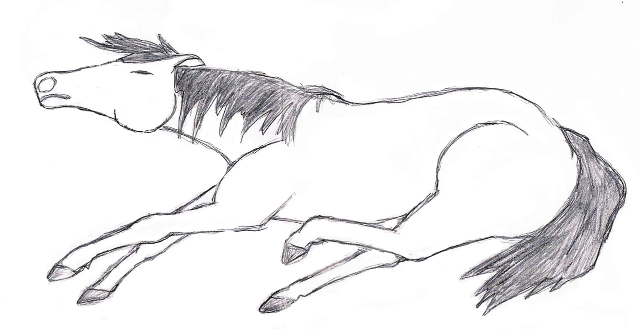 painting drawing horse free photo