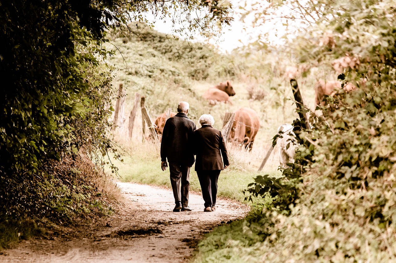 pair seniors pensioners free photo