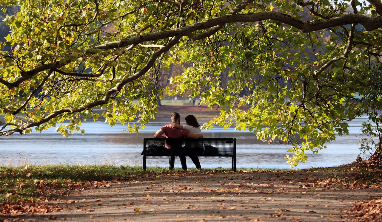 pair  bank  sit free photo