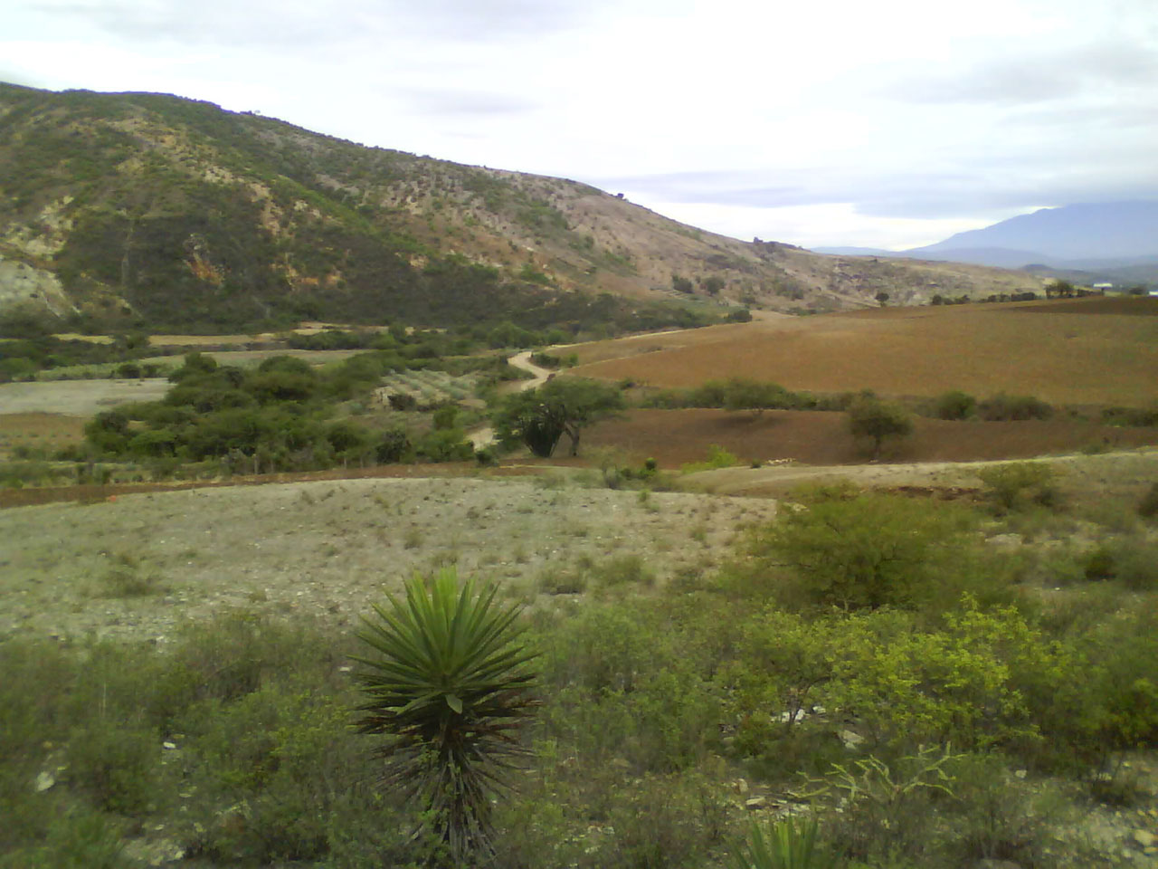 landscape valley farmland free photo