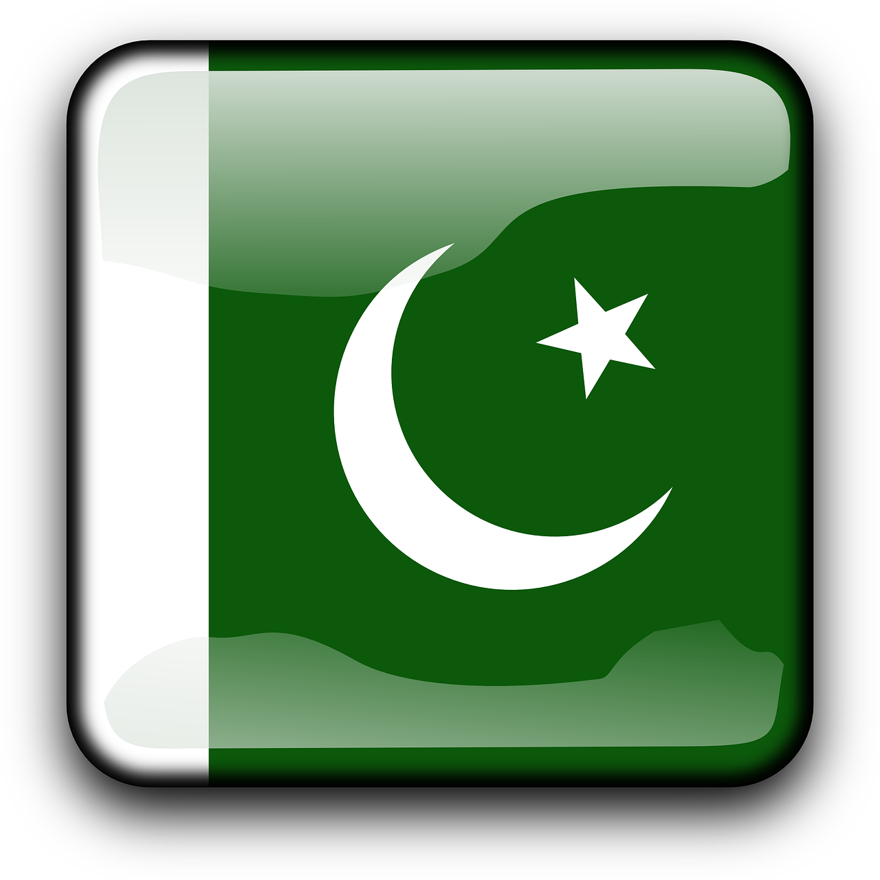 pakistan flag country free photo