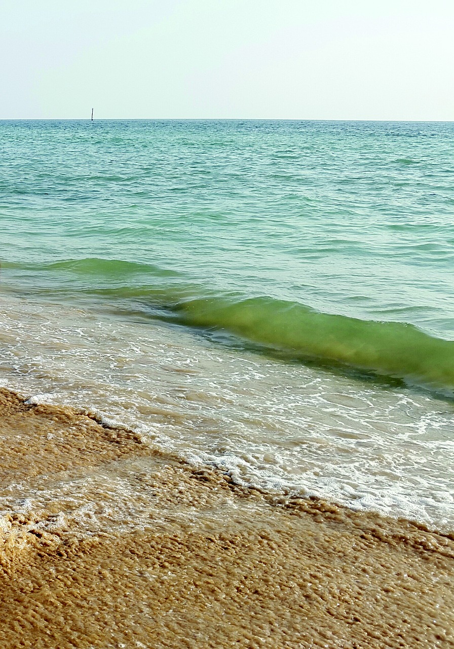 pakistan sea shore free photo