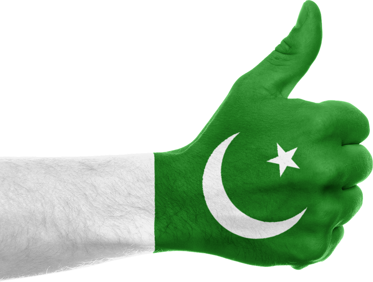 pakistan flag hand free photo