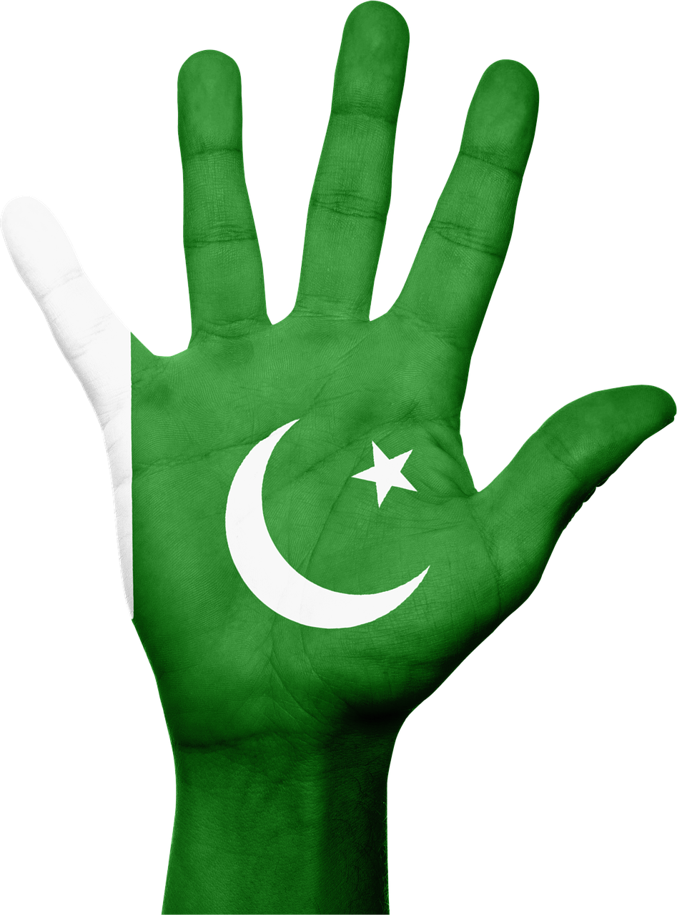 pakistan flag hand free photo