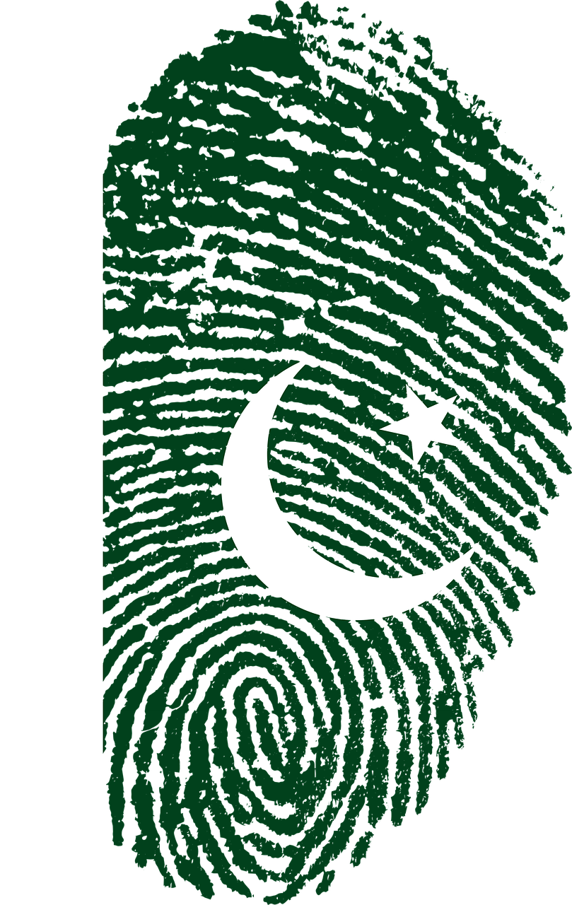 pakistan flag fingerprint free photo