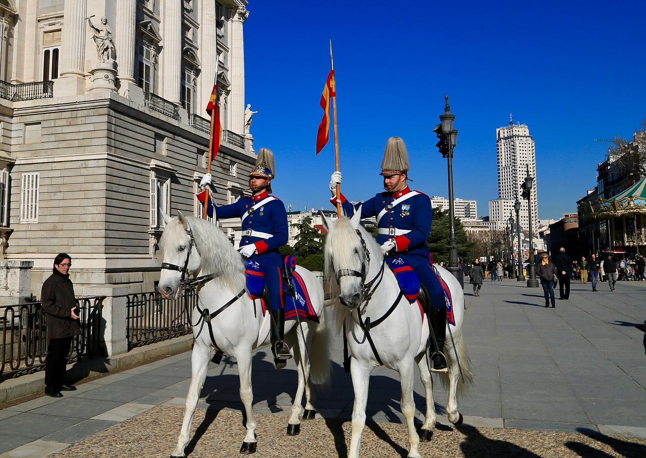 palace knight ceremony free photo