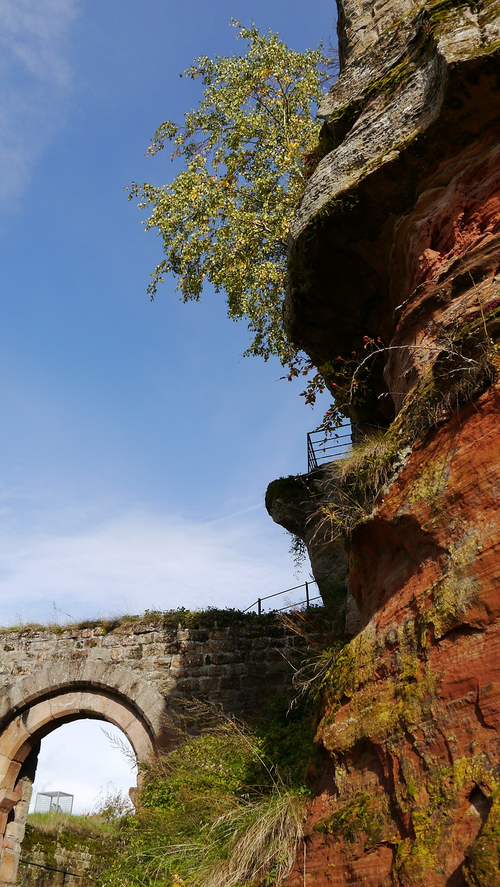 palatinate castle ruin free photo