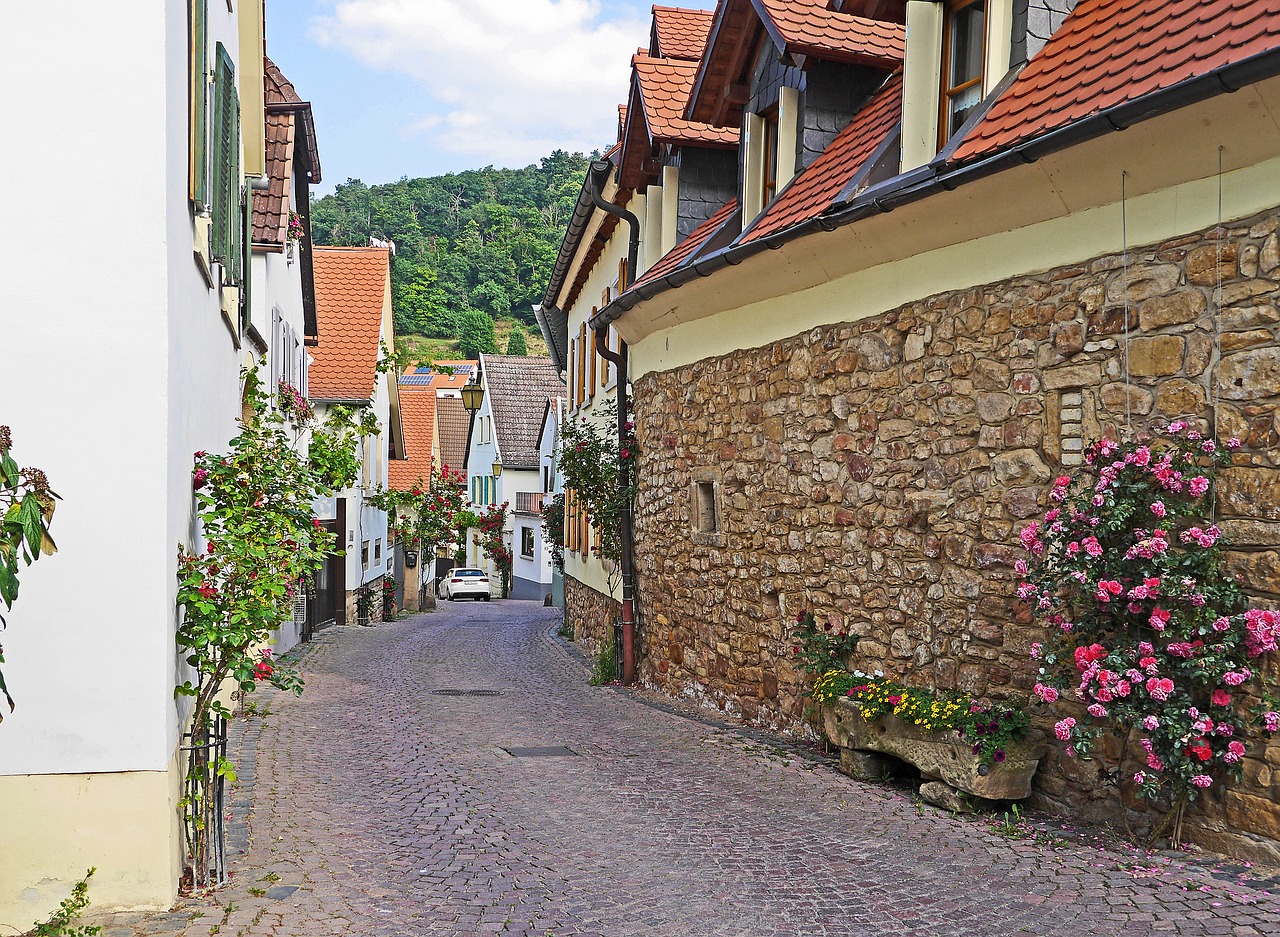 palatinate in the wine-growing town of thoroughfare free photo