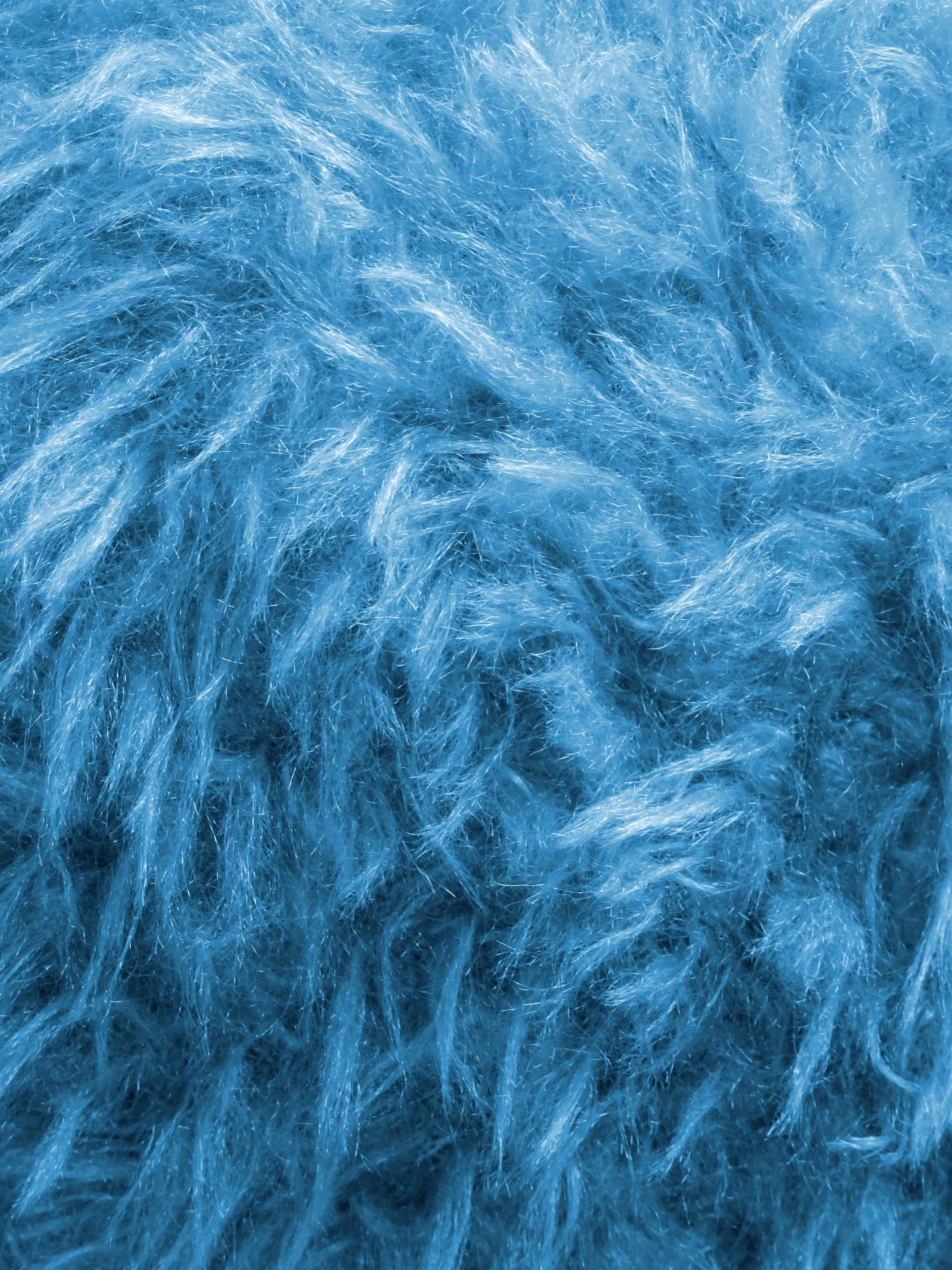 blue backgrounds fur free photo