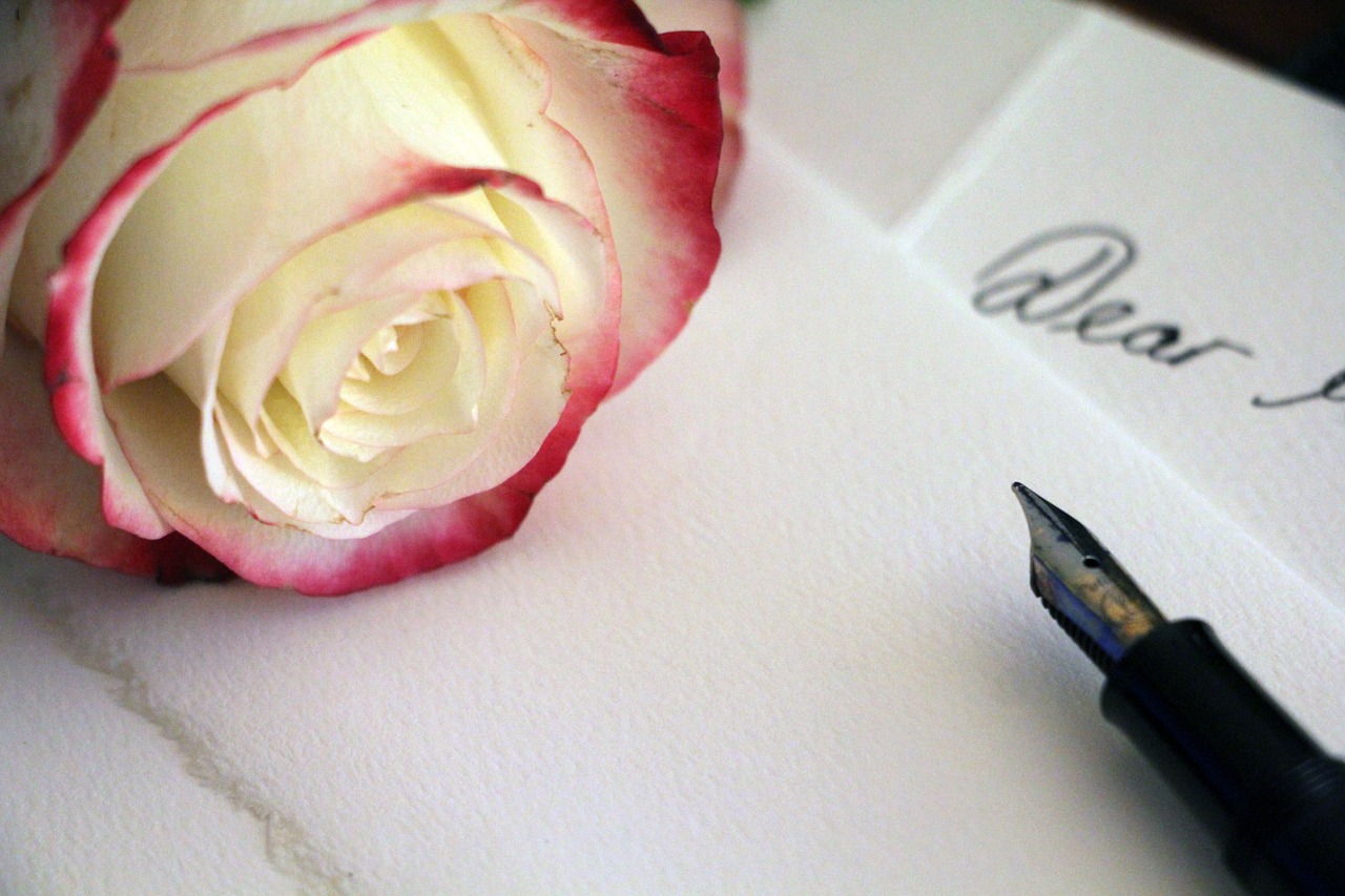 pale rose pink rose love letter free photo