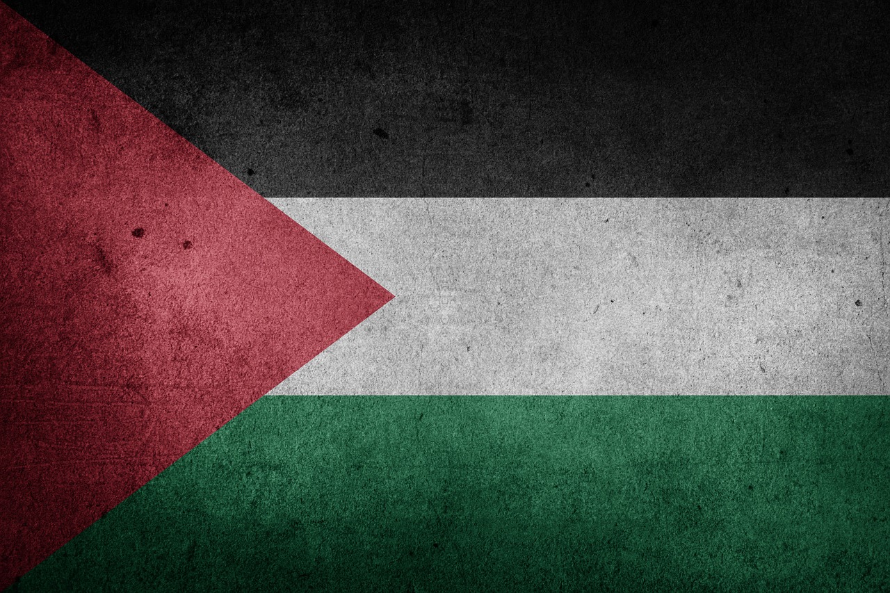 palestine flag national flag free photo