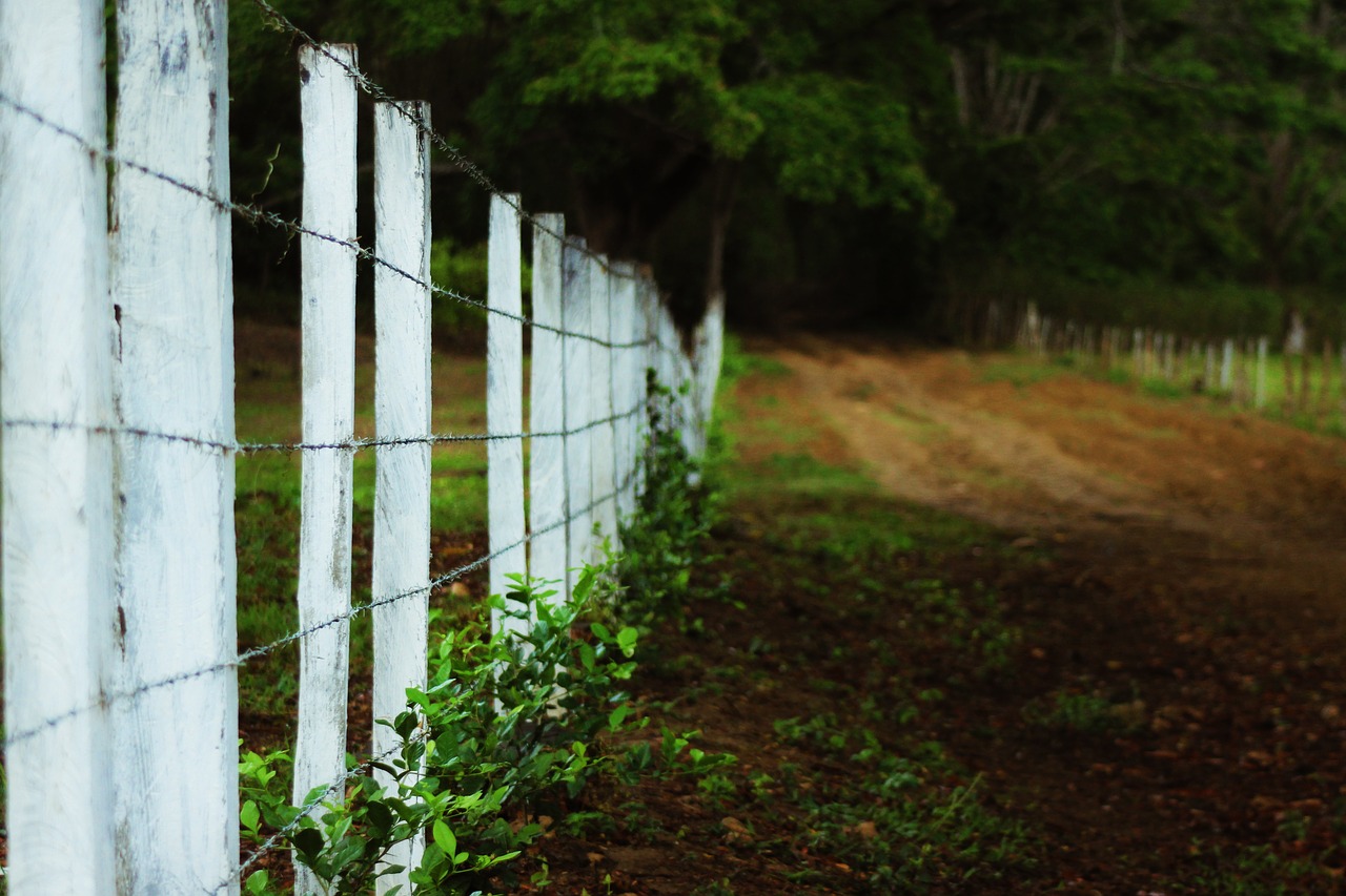 palisade  farm  path free photo