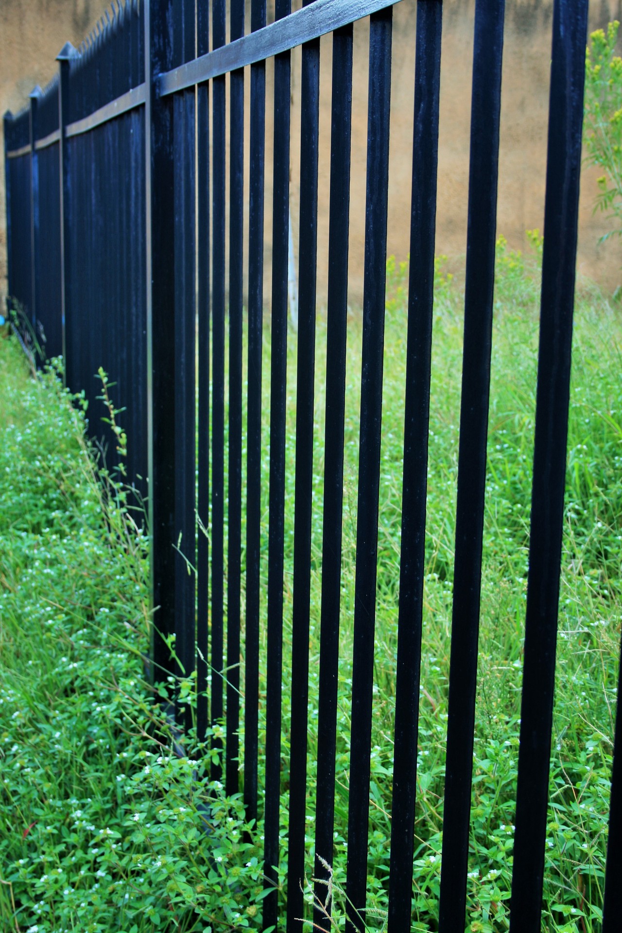fence palisade black free photo