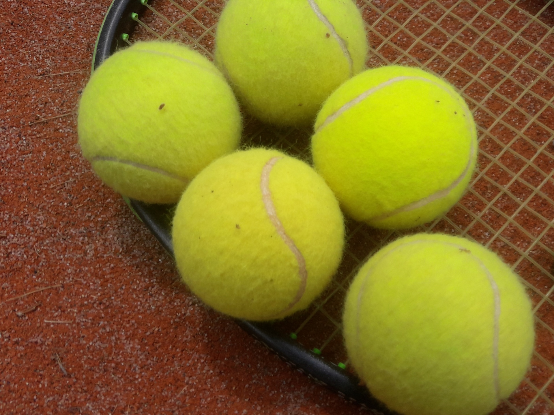 tennis ball racket free photo