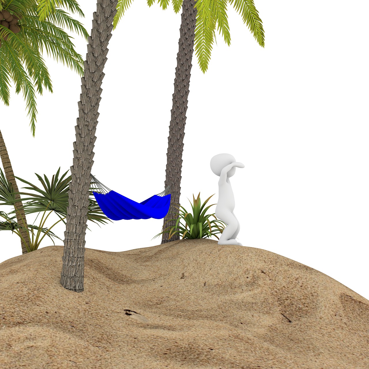 palm holiday beach free photo