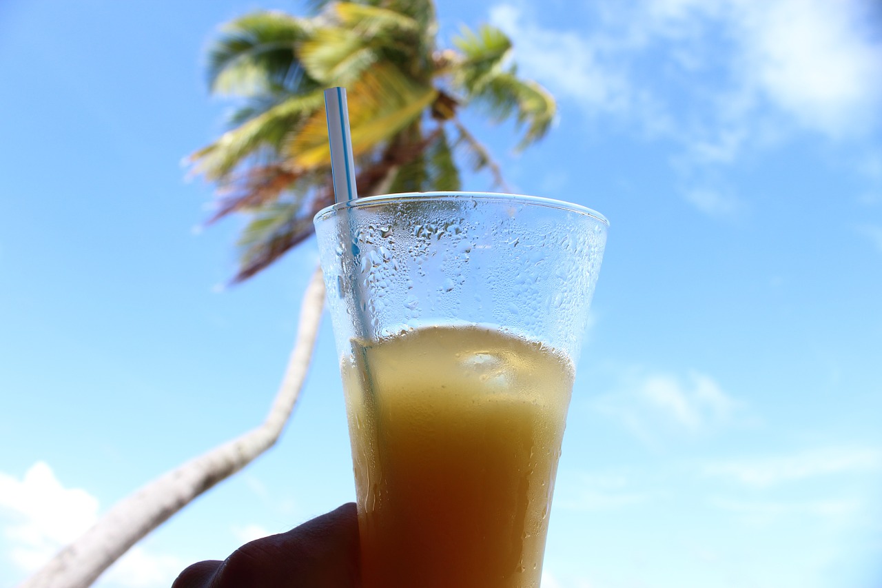 palm drink soft drink free photo