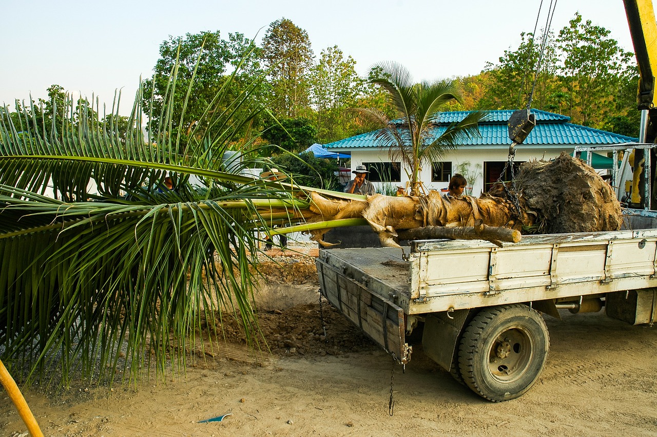palm transport trailers free photo