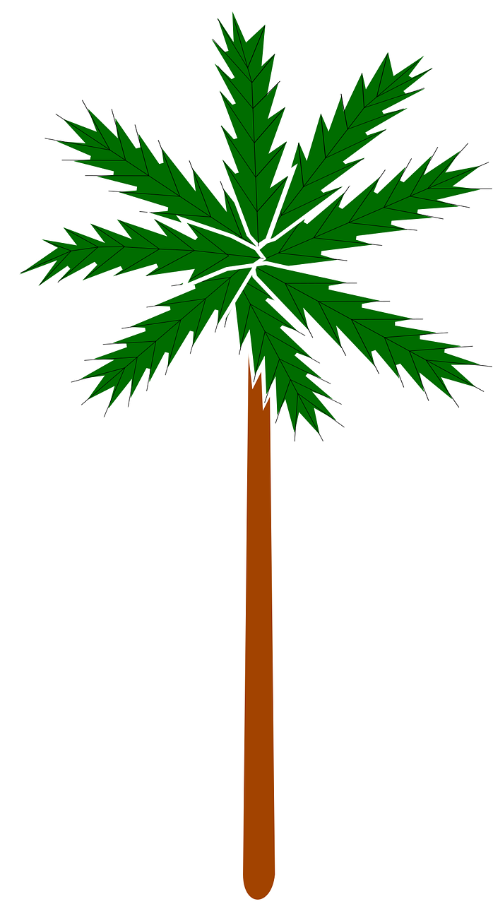 palm plant stylised free photo