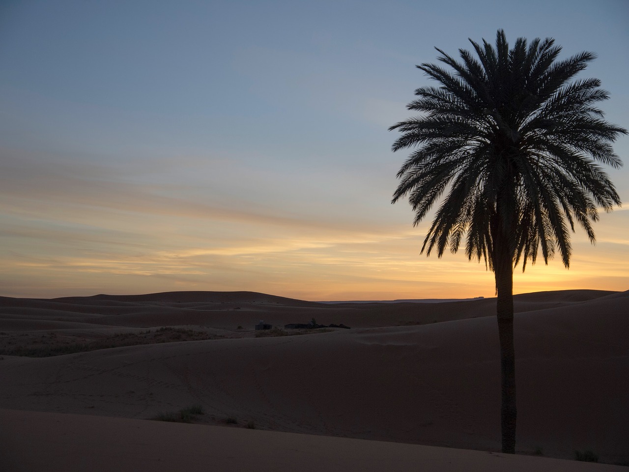 palm desert dusk free photo