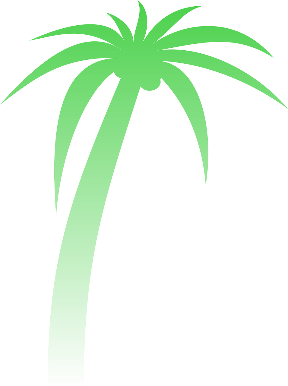 palm palm tree gradient free photo