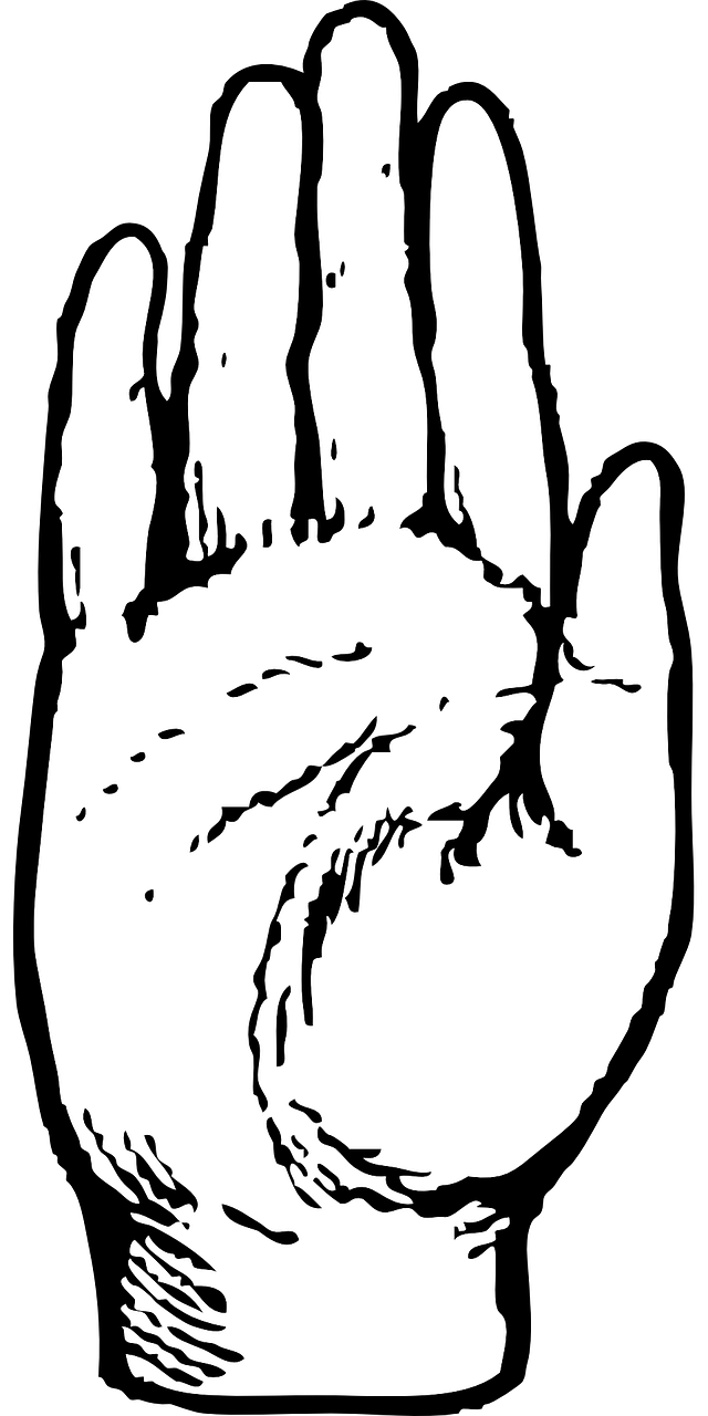 palm hand human free photo