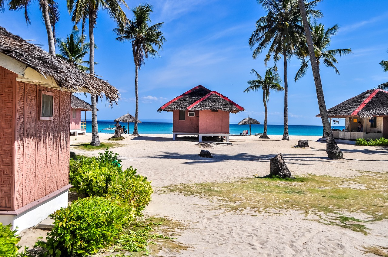 palm bungalow hut free photo