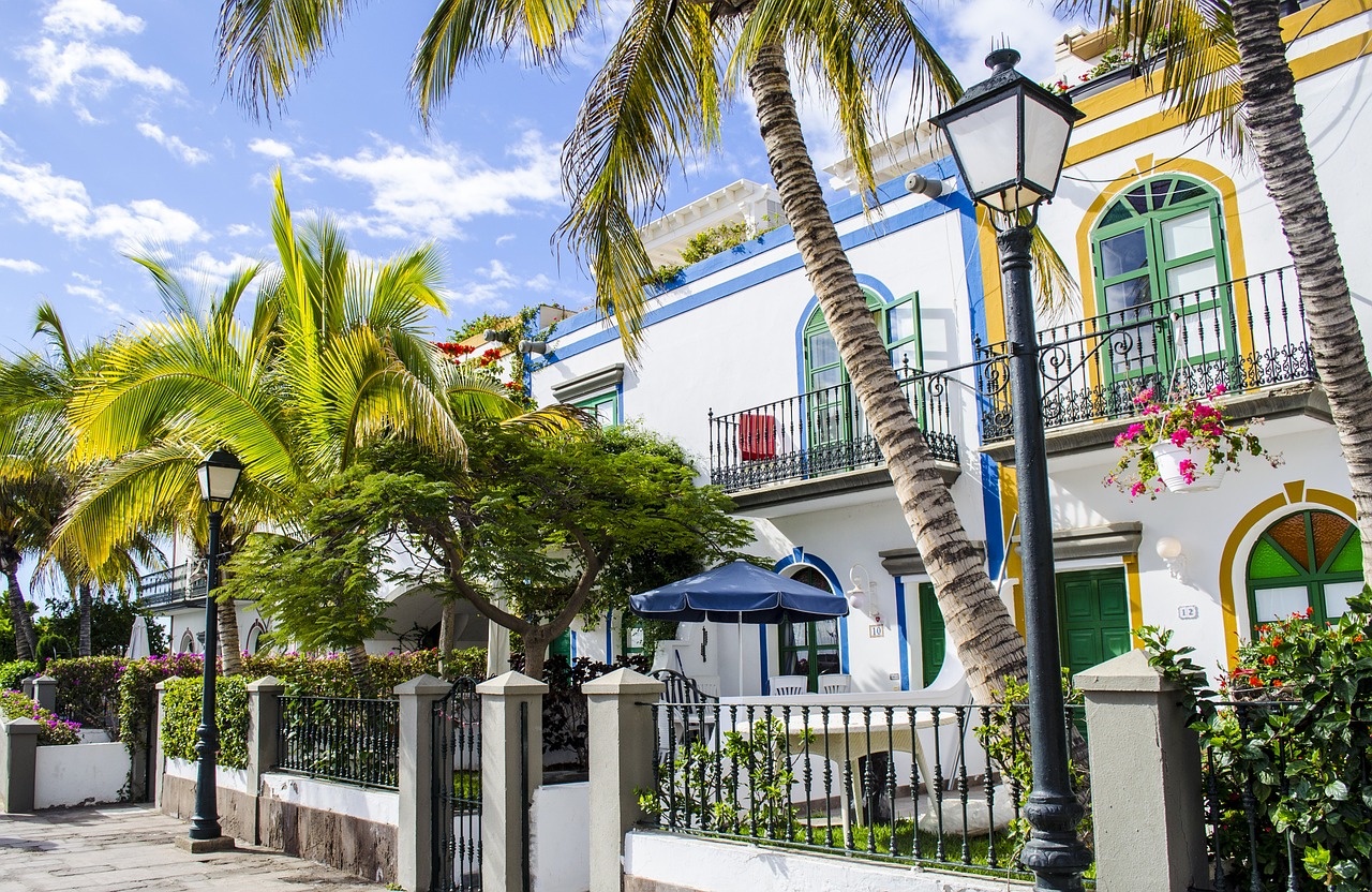 palm trees houses free photo