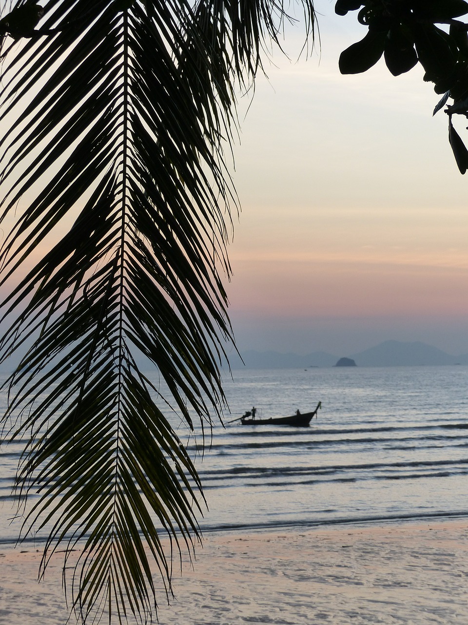 palm leaf sunset ao nang beach free photo