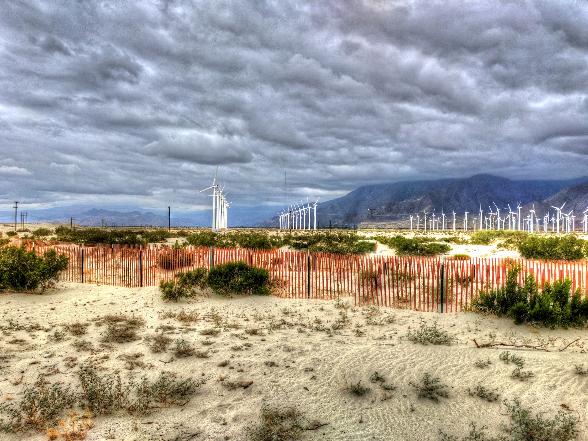 desert palm springs california free photo