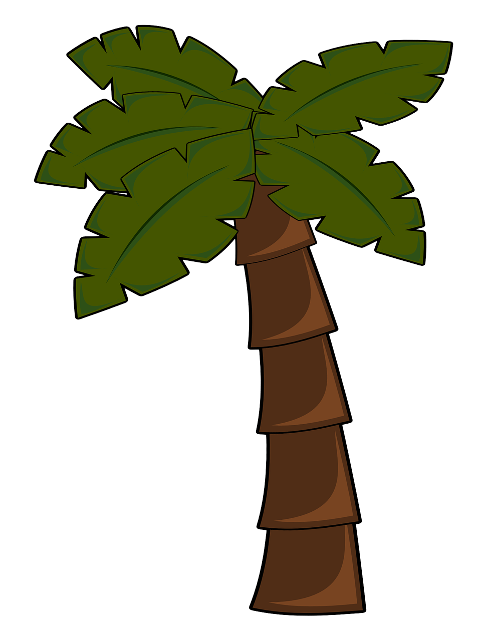 palm tree jungle palm free photo
