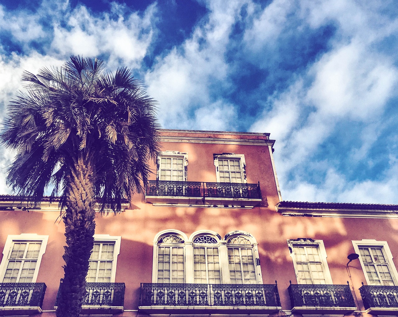 palm tree house sky free photo